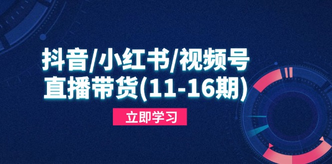 （14611期）抖音/小红书/视频号/直播带货（11-16期），快速掌握平台规则，打造爆款内容-创奇社