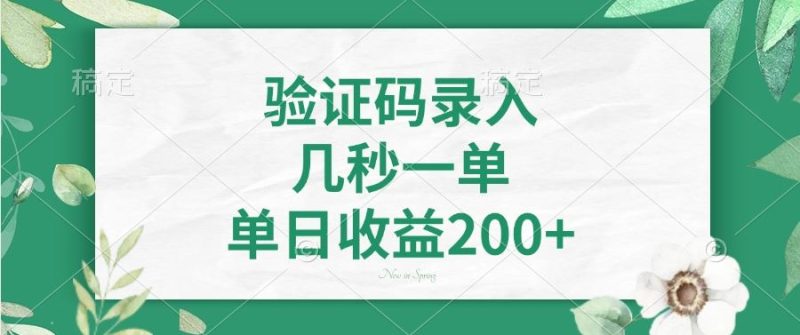 （14221期）验证码录入，几秒一单，单日收益200+-创奇社