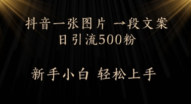每天2分钟，抖音一张图片 一段文案日引流500粉-创奇社