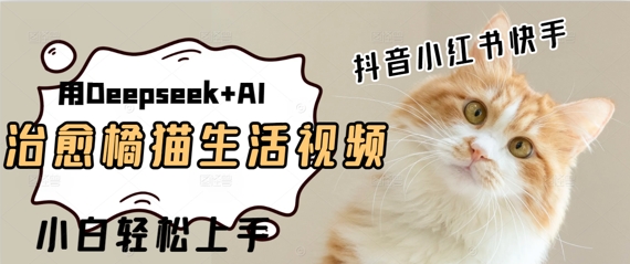 疯狂火爆，用Deepseek+AI做治愈橘猫系列视频，小白轻松制作+快速拿到结果-创奇社