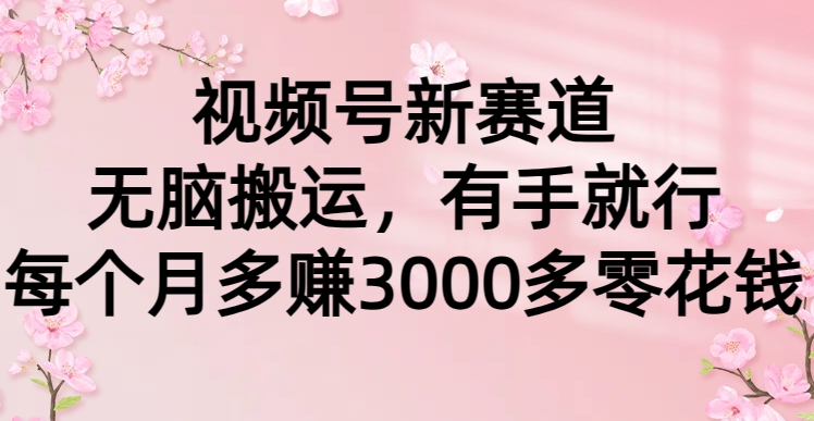 （9278期）视频号新赛道，无脑搬运，有手就行，每个月多赚3000多零花钱-创奇社