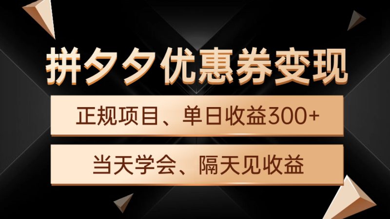 （9749期）拼夕夕优惠券变现，单日收益300+，手机电脑都可操作-创奇社 - AI前沿·副业变现·资源教程！
