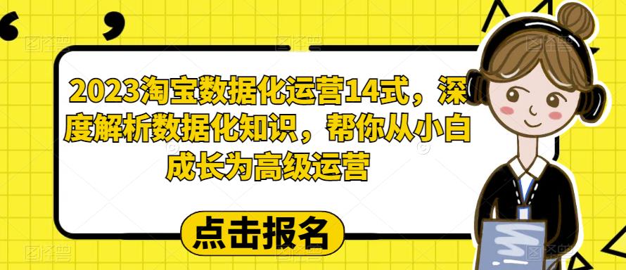 （6475期）2023淘宝数据化-运营 14式，深度解析数据化知识，帮你从小白成长为高级运营-创奇社