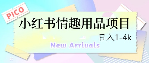 （6555期）最新小红书情趣用品项目，日入1-4k-创奇社