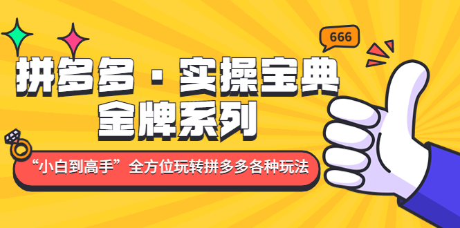 （4934期）拼多多·实操宝典：金牌系列“小白到高手”带你全方位玩转拼多多各种玩法-创奇社
