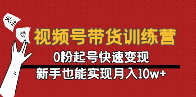 （4446期）视频号带货训练营：0粉起号快速变现，新手也能实现月入10w+-创奇社