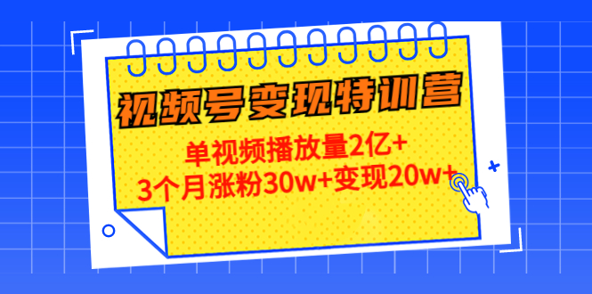 （4455期）20天视频号变现特训营：单视频播放量2亿+3个月涨粉30w+变现20w+-创奇社