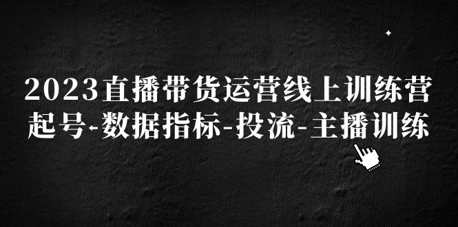 （5122期）2023直播带货运营线上训练营，起号-数据指标-投流-主播训练-创奇社