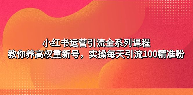 （4950期）小红书运营引流全系列课程：教你养高权重新号，实操每天引流100精准粉-创奇社