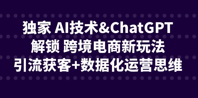 （6599期）独家 AI技术&ChatGPT解锁 跨境电商新玩法，引流获客+数据化运营思维-创奇社