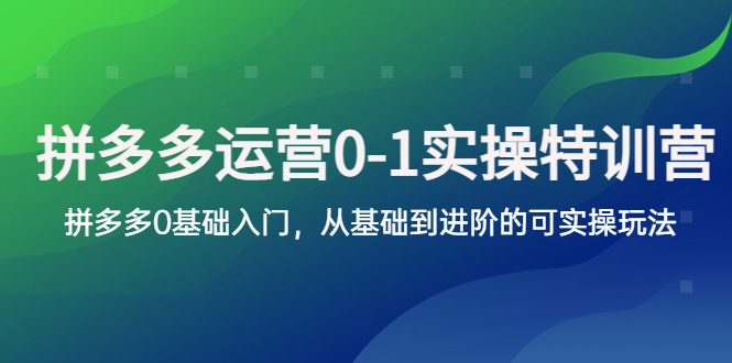 （5747期）拼多多-运营0-1实操训练营，拼多多0基础入门，从基础到进阶的可实操玩法-创奇社