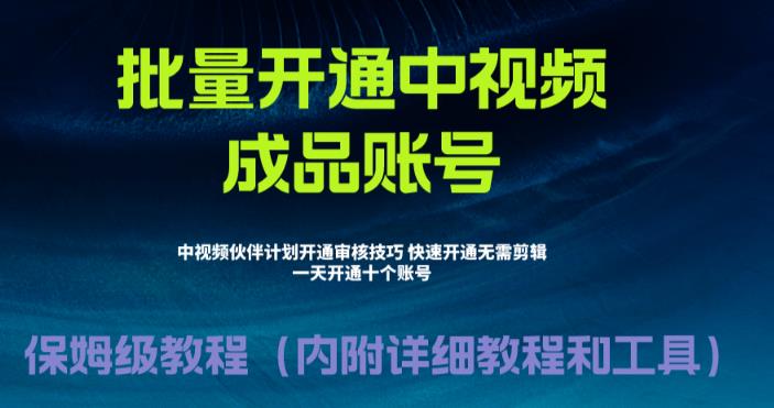 （6561期）外面收费1980暴力开通中视频计划教程，附 快速通过中视频伙伴计划的办法-创奇社
