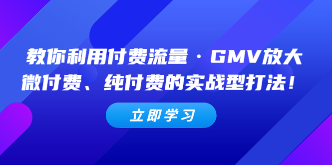 （5106期）教你利用付费流量·GMV放大，微付费、纯付费的实战型打法！-创奇社