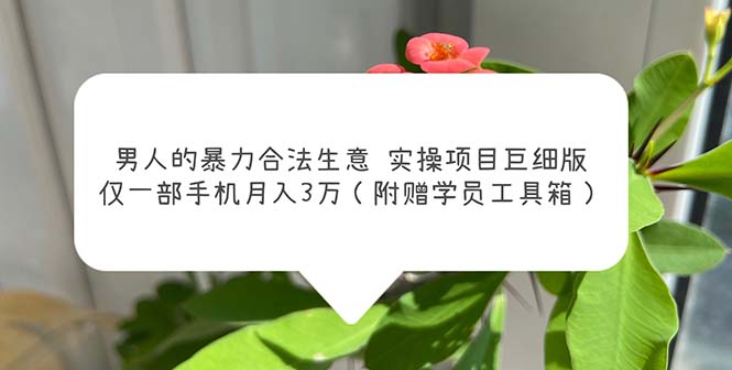 （5962期）男人的暴力合法生意实操项目巨细版：仅一部手机月入3w（附赠学员工具箱）-创奇社
