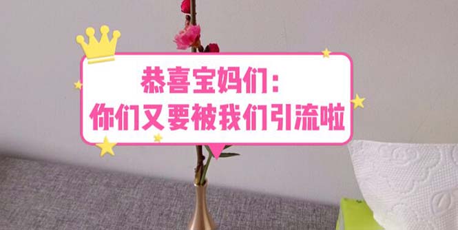 （5891期）恭喜宝妈们：你们又要被我们引流了（教程+222g资料）-创奇社