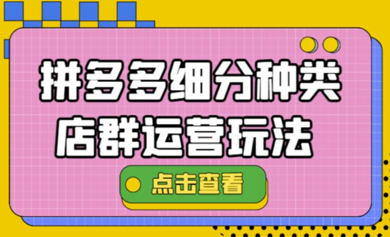 （4373期）拼多多细分种类店群运营玩法3.0，11月最新玩法，小白也可以操作-创奇社