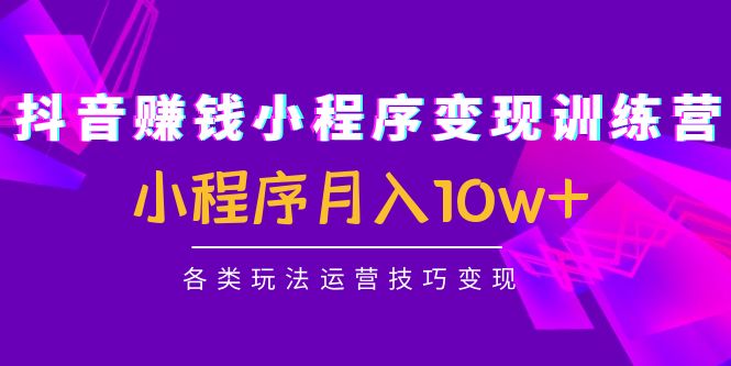 （4511期）抖音赚钱小程序变现训练营：小程序月入10w+各类玩法运营技巧变现-创奇社