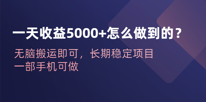 （6435期）一天收益5000+怎么做到的？无脑搬运即可，长期稳定项目，一部手机可做-创奇社