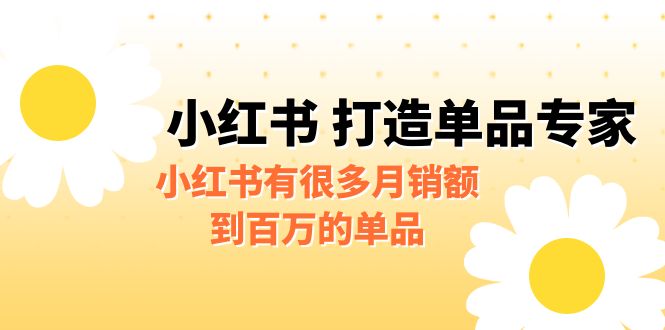 （6541期）某公众号付费文章《小红书 打造单品专家》小红书有很多月销额到百万的单品-创奇社