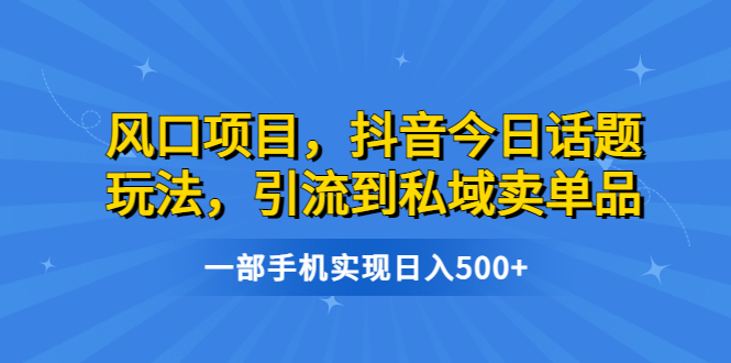 （6588期）风口项目，抖音今日话题玩法，引流到私域卖单品，一部手机实现日入500+-创奇社