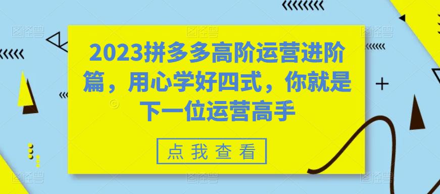 （6193期）2023拼多多高阶运营进阶篇，用心学好四式，你就是下一位运营高手-创奇社 - AI前沿·副业变现·资源教程！
