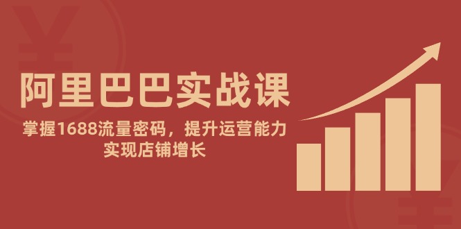 （14830期）阿里巴巴实战课：掌握1688流量密码，提升运营能力，实现店铺增长-创奇社 - AI前沿·副业变现·资源教程！
