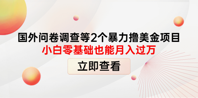（4062期）国外问卷调查等2个暴力撸美金项目，小白零基础也能月入过万-创奇社