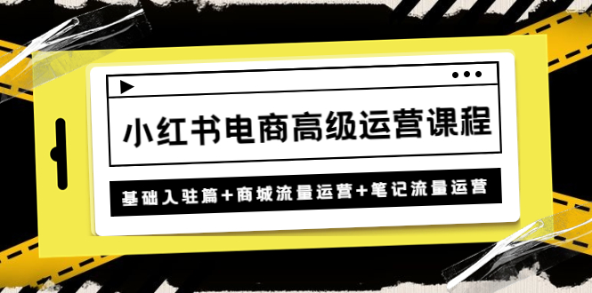 （4638期）小红书电商高级运营课程：基础入驻篇+商城流量运营+笔记流量运营-创奇社