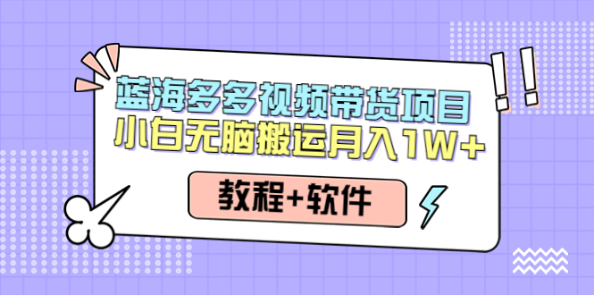 （4343期）人人都能操作的蓝海多多视频带货项目 小白无脑搬运月入10000+（教程+软件）-创奇社