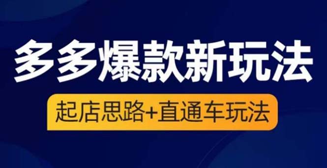 （6028期）2023拼多多爆款·新玩法：起店思路+直通车玩法（3节精华课）-创奇社 - AI前沿·副业变现·资源教程！