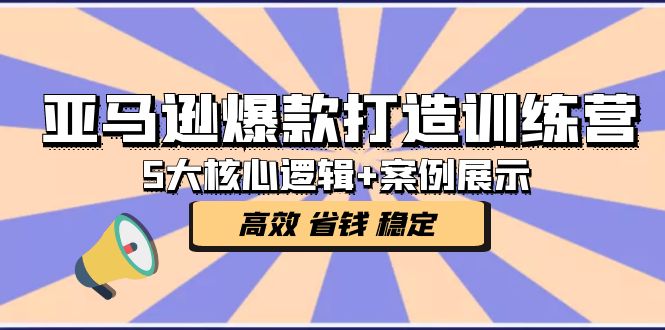 （5107期）亚马逊爆款打造训练营：5大核心逻辑+案例展示 打造爆款链接 高效 省钱 稳定-创奇社