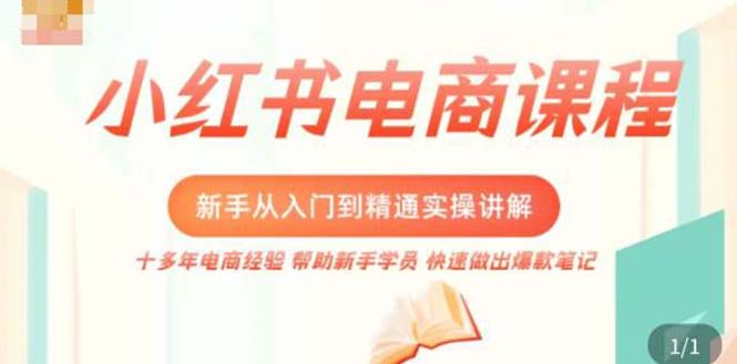 （5049期）小红书电商新手入门到精通实操课，从入门到精通做爆款笔记，开店运营-创奇社
