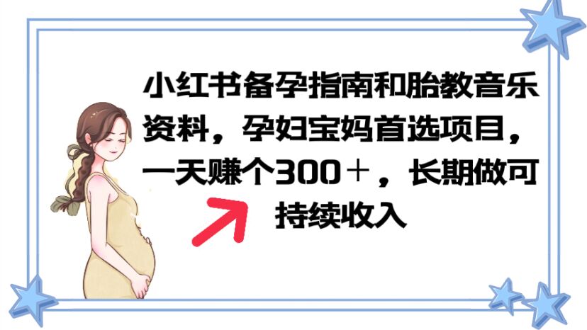 （6114期）小红书备孕指南和胎教音乐资料 孕妇宝妈首选项目 一天赚个300＋长期可做-创奇社