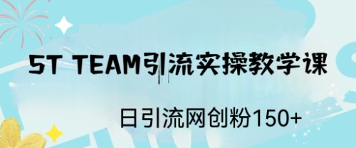 （6578期）ST TEAM引流实操课，日引流网创粉100+-创奇社