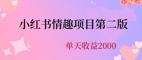 （6648期）最近爆火小红书情趣项目第二版，每天2000+-创奇社