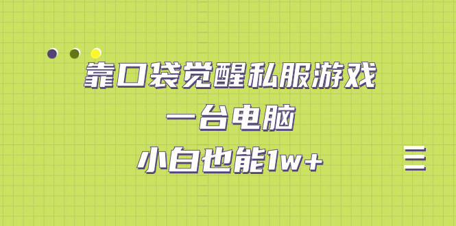 （7113期）靠口袋觉醒私服游戏，一台电脑，小白也能1w+（教程+工具+资料）-创奇社 - AI前沿·副业变现·资源教程！