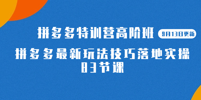 （7295期）2023拼多多·特训营高阶班【9月13日更新】拼多多最新玩法技巧落地实操-83节-创奇社
