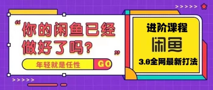 （5289期）火爆全网的咸鱼玩法进阶课程，单号日入1K的咸鱼进阶课程-创奇社 - AI前沿·副业变现·资源教程！