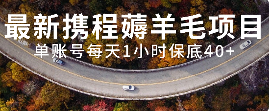 （7995期）最新携程薅羊毛项目，单账号每天1小时保底收益40+，可矩阵操作-创奇社
