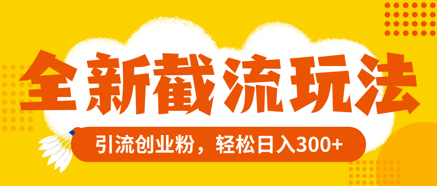 （8025期）全新截流玩法，精准引流创业粉，轻松日入300+-创奇社