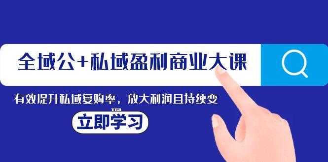 （8045期）全域公+私域盈利商业大课，有效提升私域复购率，放大利润且持续变现-创奇社