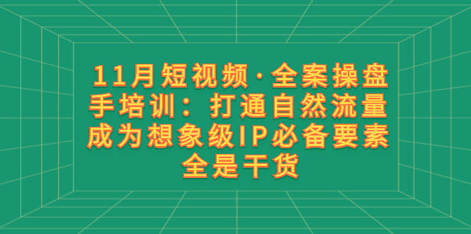 （8182期）11月短视频·全案操盘手培训：打通自然流量 成为想象级IP必备要素 全是干货-创奇社