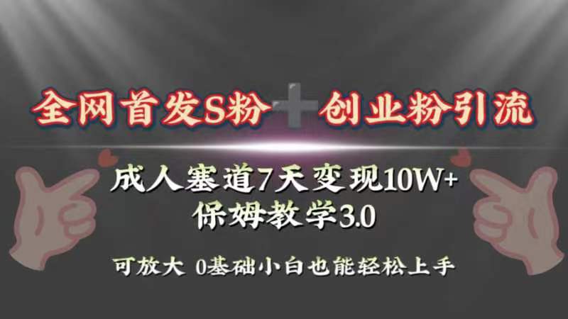 （8337期）全网首发s粉加创业粉引流变现，成人用品赛道7天变现10w+保姆教学3.0-创奇社