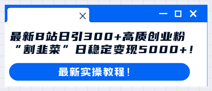 （8216期）最新B站日引300+高质创业粉教程！“割韭菜”日稳定变现5000+！-1