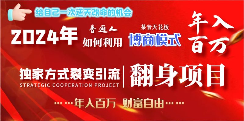 （9027期）2024年普通人如何利用博商模式做翻身项目年入百万，财富自由-1