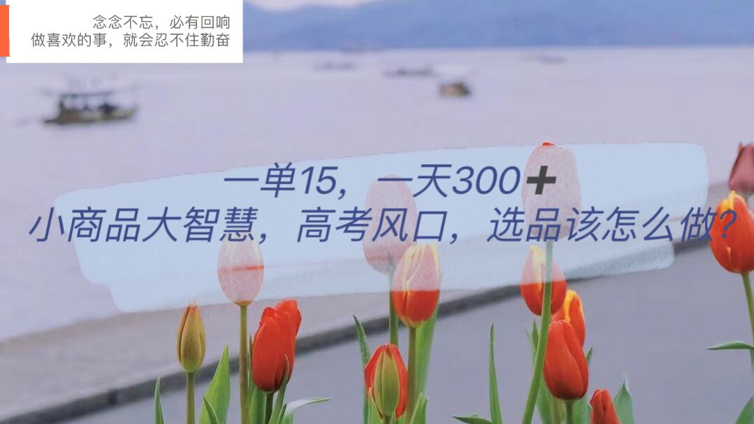 （6077期）一单15，一天300+，小商品大智慧，高考风口，选品该怎么布局-创奇社 - AI前沿·副业变现·资源教程！