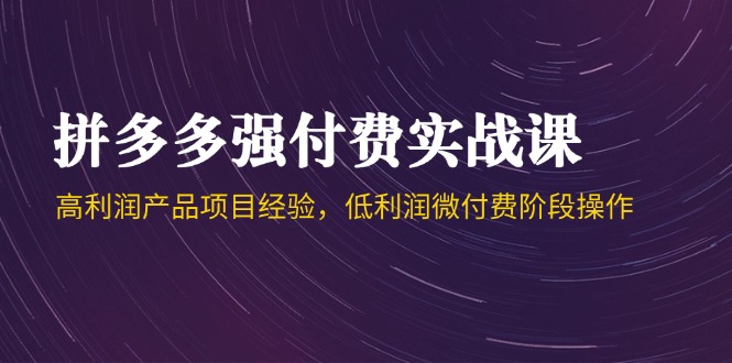 （14874期）拼多多强付费实战课-44期，高利润产品项目经验，低利润微付费阶段操作-创奇社 - AI前沿·副业变现·资源教程！