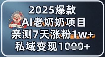 2025爆款 AI 老奶奶项目：亲测 7 天涨粉 1W+，私域变现 1k+-创奇社 - AI前沿·副业变现·资源教程！