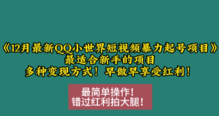 12月最新QQ小世界短视频暴力起号项目，最适合新手的项目，多种变现方式-创奇社 - AI前沿·副业变现·资源教程！