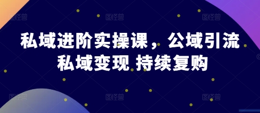 私域进阶实操课，公域引流 私域变现 持续复购-创奇社 - AI前沿·副业变现·资源教程！